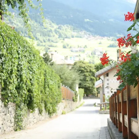 Apartamento Alfonz *